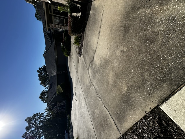 Before exterior cleaning: Huge shared driveway cleaning for my neighbors!