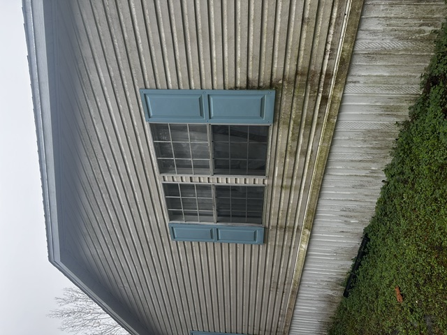 Before exterior cleaning: Siding soft wash on some filthy vinyl!